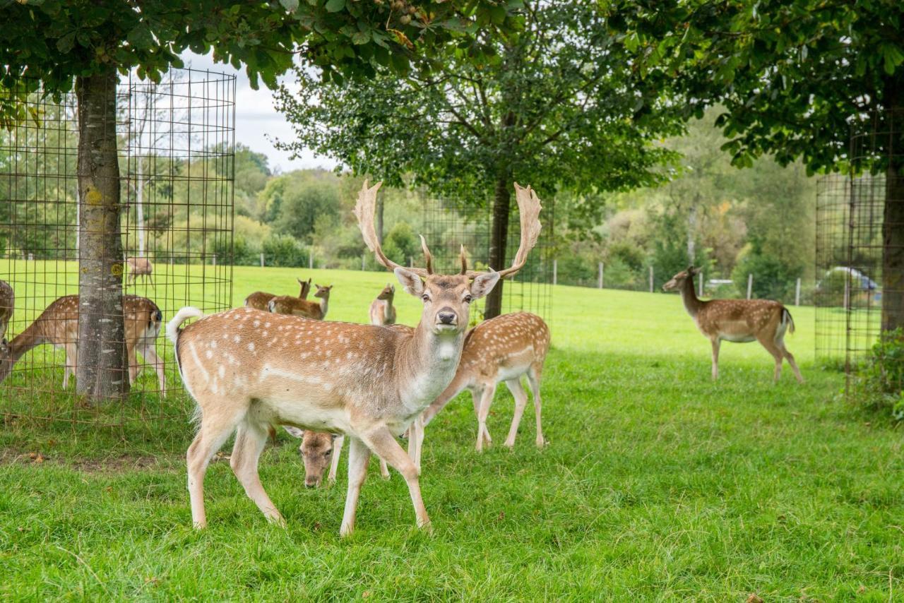 Hotel Hofgut Tiergarten 欧伦道夫 外观 照片